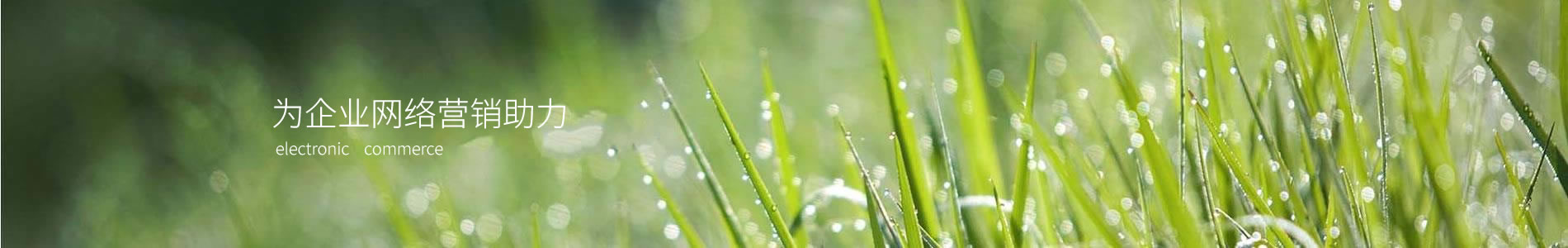 ൺҰ豸޹˾